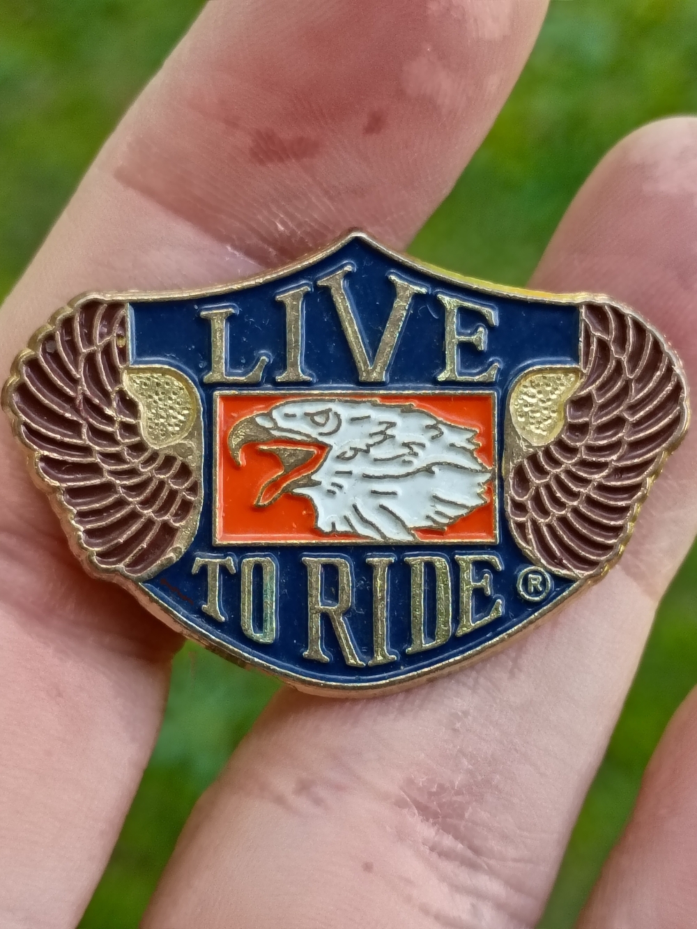 HARLEY DAVIDSON Motorcycle Eagle Trademark Logo Lapel Pin Button Live To Ride